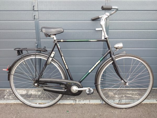 Gazelle Avignon
