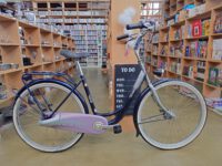 T333732-1.jpg Batavus Verona