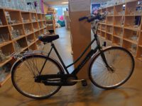 6222028-1.jpg Gazelle Furore