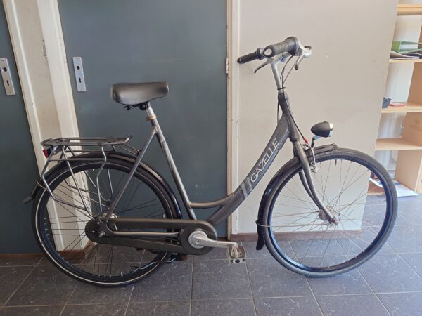 Gazelle Esprit